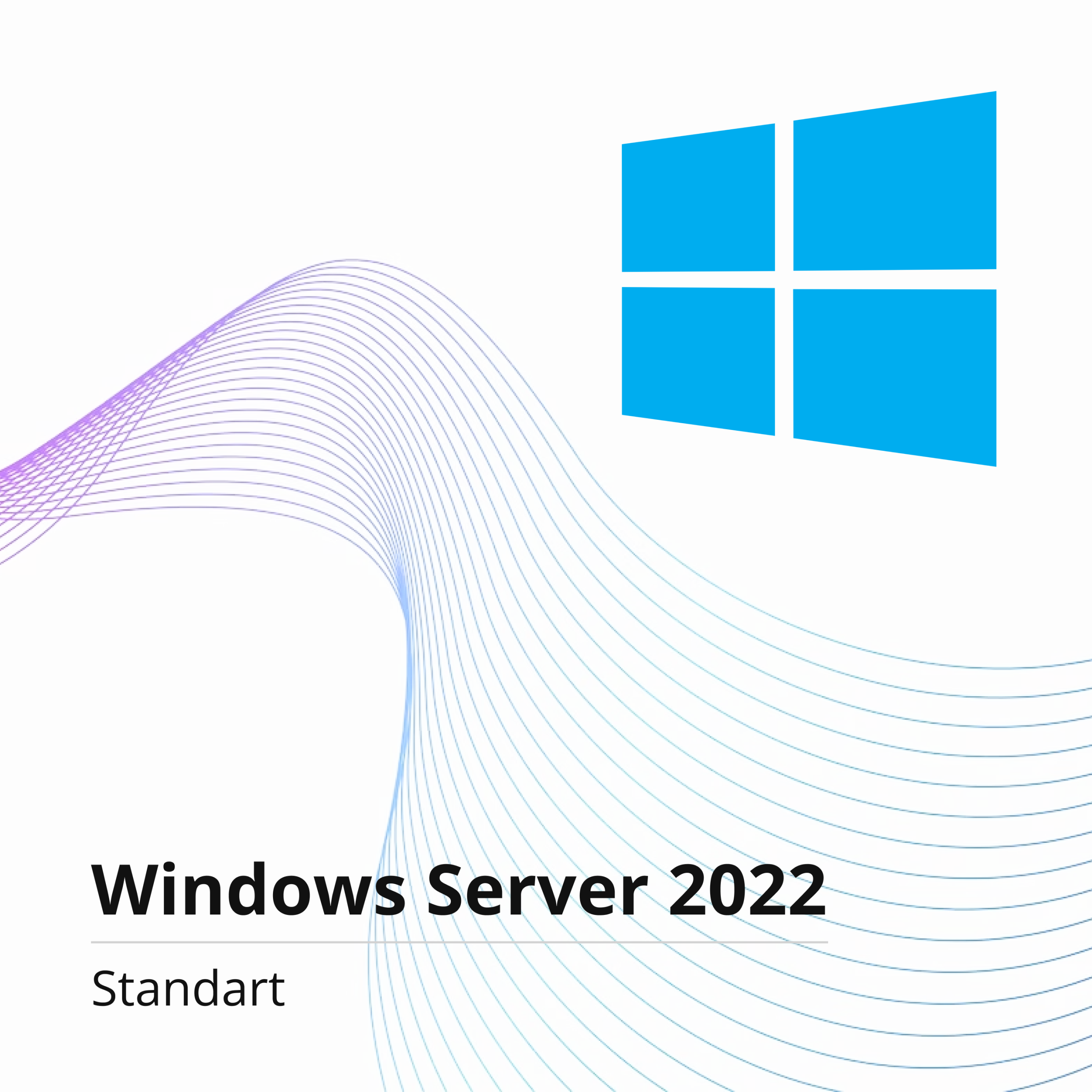 Windows Server 2022 Standard